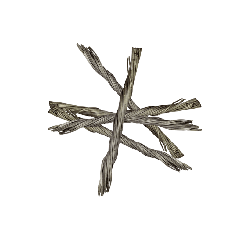 twist_web
